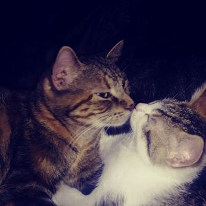 Meet your Posher, Wendy